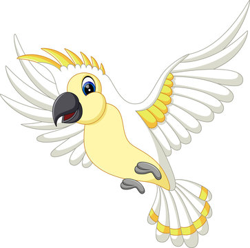 Cartoon funny white parrot flying