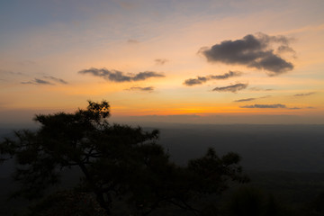 Fototapeta na wymiar Colorful sky and sunset above pine tree.