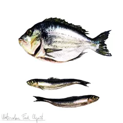Foto op Canvas Watercolor Food Clipart - Fish © nataliahubbert
