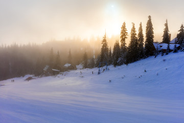 Winter landscape. Sunrise in the mountains. Beautiful World. Christmas scene. Carpathians, Ukraine, Europe