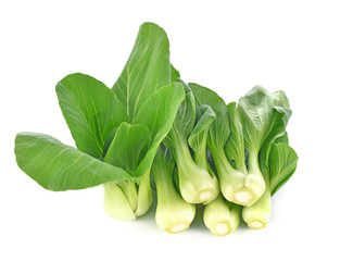 Bok choy vegetable isolated on the white background