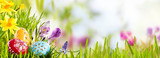 Horizontal Easter banner with eggs in a meadow