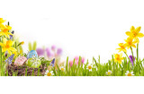 Easter background with eggs and spring flowers