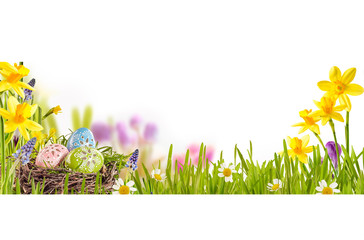 Easter Eggs in a colorful spring meadow