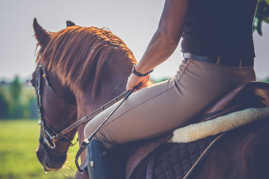 Fototapeta Woman riding on a brown horse