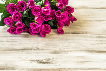 Purple roses flowers arranged on white wood background with copy space.