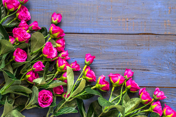 Purple roses flowers on wood background.