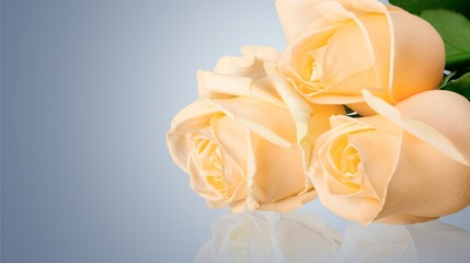 Rose.