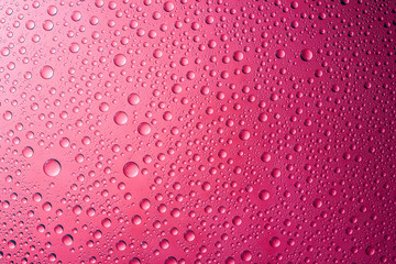 Water drops pink background