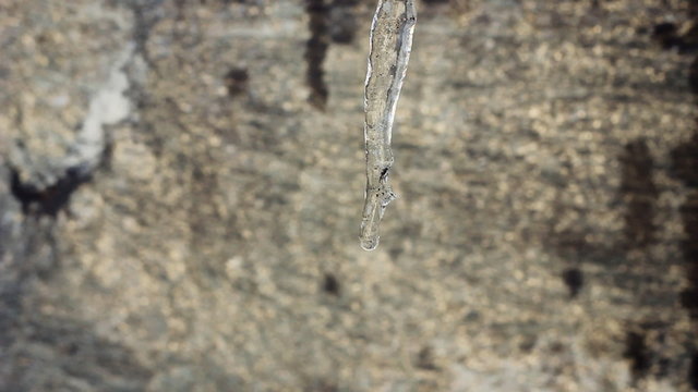 Eiszapfen tr&ouml;pfelt