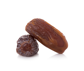 date palm isolated on white background