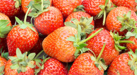 Beautiful strawberries isolated on white