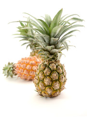 Fototapeta premium pineapple with slices isolated on white