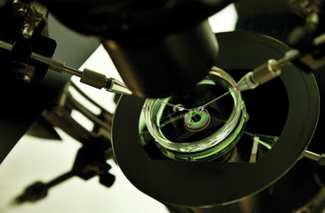artificial insemination genetic experiment