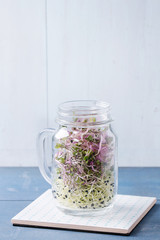 Fresh  Sprouts in mason jar