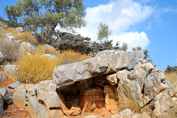 Summer mountain landscape.