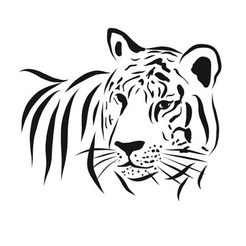 tiger vector