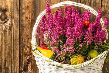 Fototapeta na wymiar Heathers flowers in basket on rustic wood background