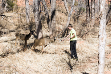 Deer trustingly reaches for the hand of a child. Palo Duro Canyo
