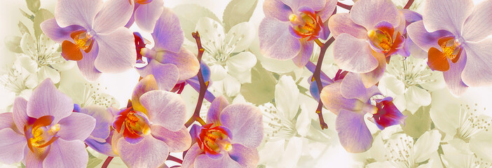 Flowering orchids and cherries panoramic decoration