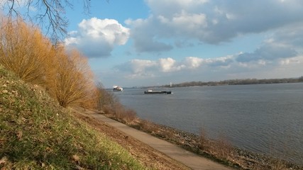 Blick auf die Elbe