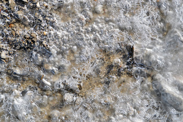 Detail of ground covered by shiny ice