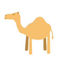 Cute cartoon camel vector illustration