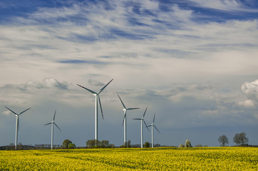 WIND FARM - FARMA WIATROWA NA WIOSNĘ © Wojciech Wrzesień