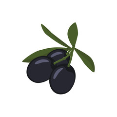 Black olives with leaves