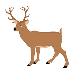 Naklejka na ściany i meble Deer forest animal