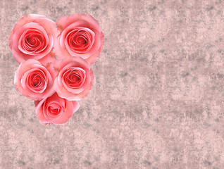 Pink roses on pink paper with copy space