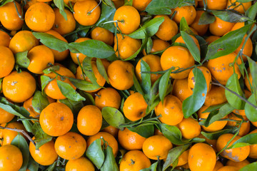 A pile of bright orange mandarin oranges