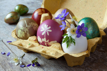 Easter colored eggs in a cardboard container and spring flowers