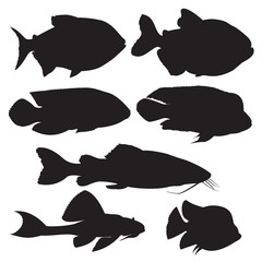 Vector black silhouettes of fish. Fish icons set