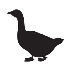 Vector illustration of a goose isolated on white background. Goose logo
