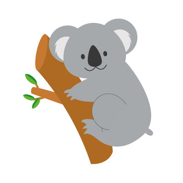Cute cartoon koala vector illustration