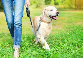Crédence de cuisine en verre imprimé Chien Owner walking with Golden Retriever dog together in park
