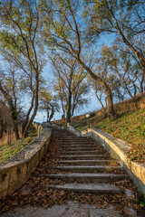 Fototapeta na wymiar beautiful stone stairs at the park