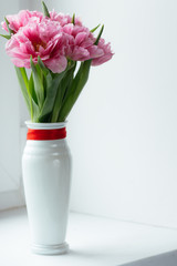 Pink tulips in white vase