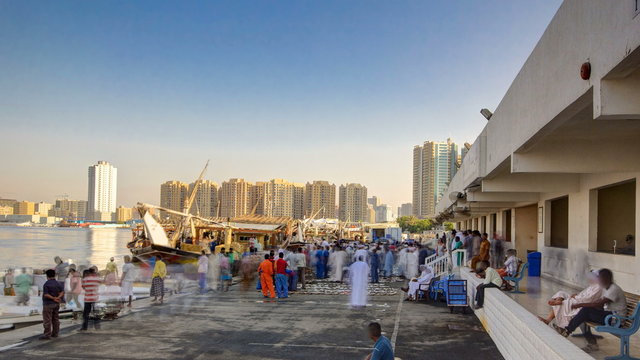 Fish market in the emirate of Ajman timelapse.  United Arab Emirates