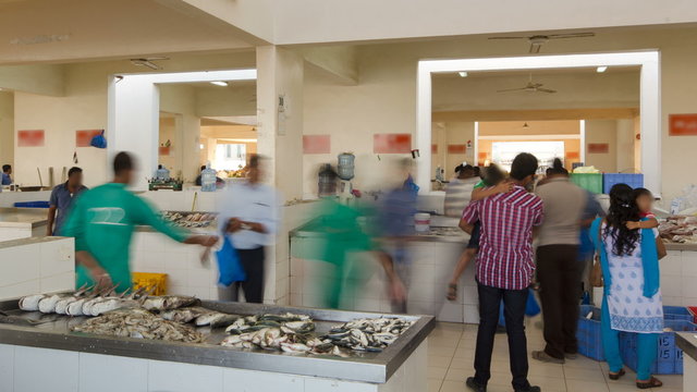 Fish market in the emirate of Ajman timelapse.  United Arab Emirates