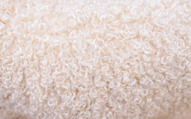 close up of lambswool texture