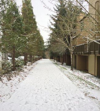 Pathway covered in a light dusting of snow, trees one one side, some townhomes on the other