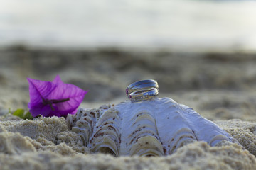 Wedding rings on a seashell in the sand