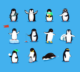 Set of Animal Pinguin Design Flat