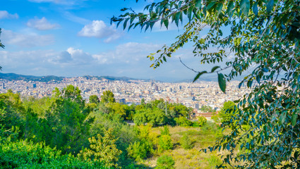 Fototapeta na wymiar Barcelona cityscape. View seen from Montjuic hill