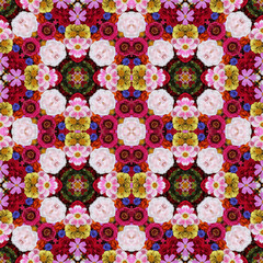 Flower background, the top view.