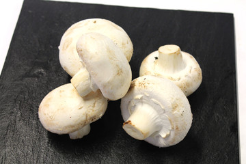 champignons de paris