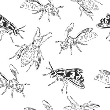 Bee pattern. Vector. Wasp.