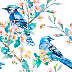 Blue jay on a flowering branch. Spring pattern. Watercolor art. - 102456020
